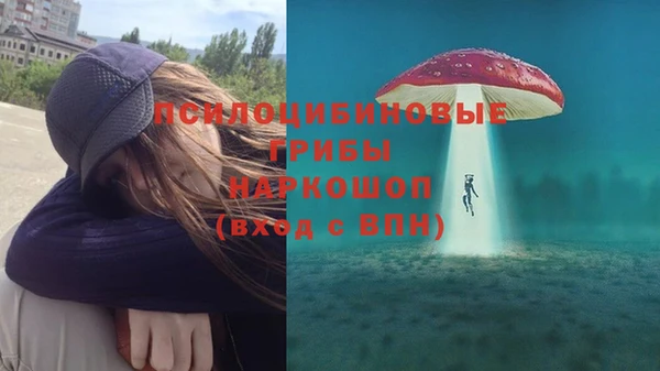 мяу мяу мука Осинники