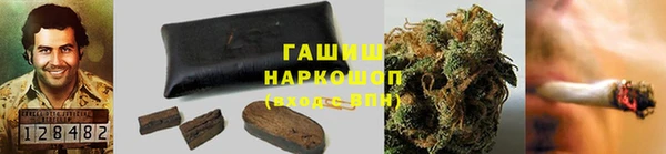 ГАЛЛЮЦИНОГЕННЫЕ ГРИБЫ Белоозёрский