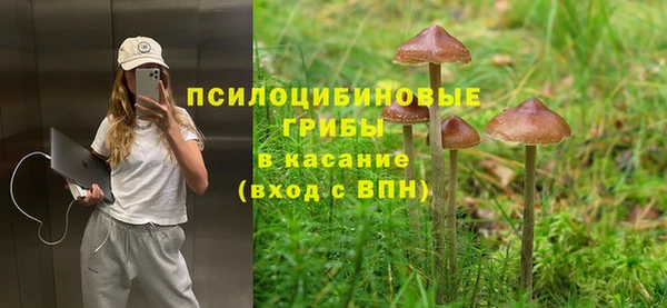 mdpv Арсеньев