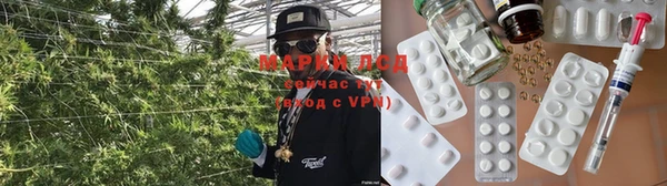 крисы Баксан