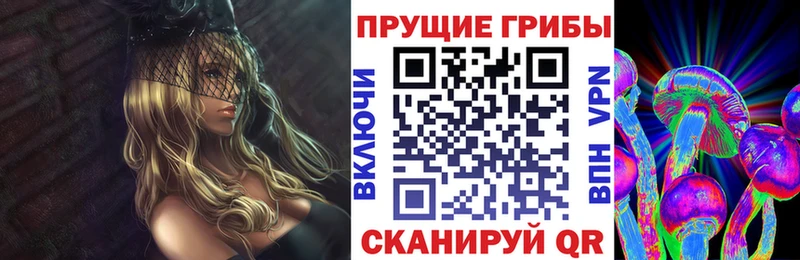 Галлюциногенные грибы мухоморы  даркнет сайт  Касимов 